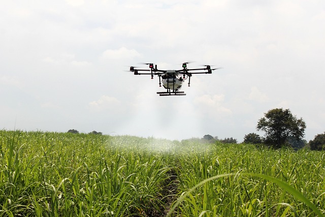 4 Beneficios de la polinización con drones